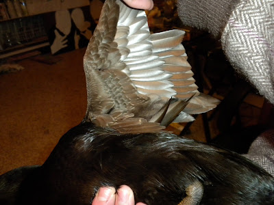 DSCN2739.JPG
