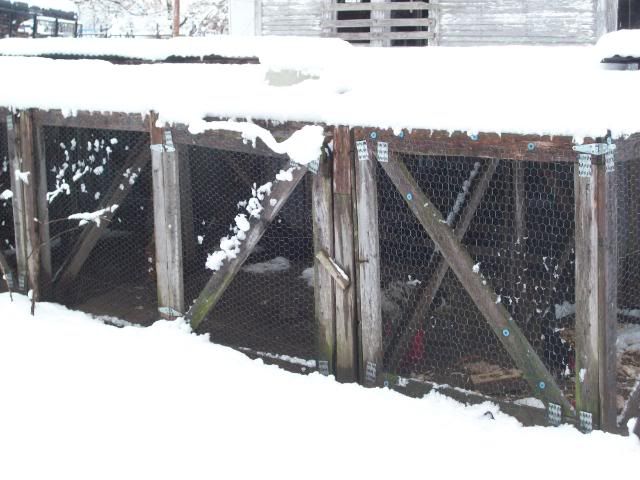 100_0100.jpg