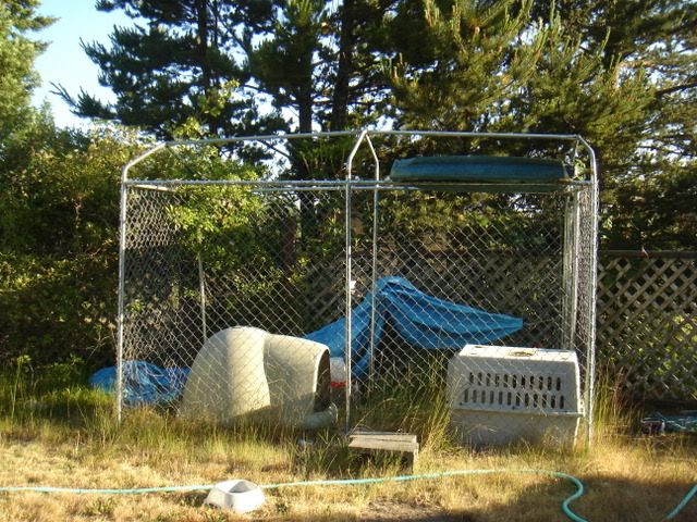DSC04515.jpg