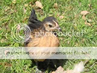 IMG_1689-1.jpg