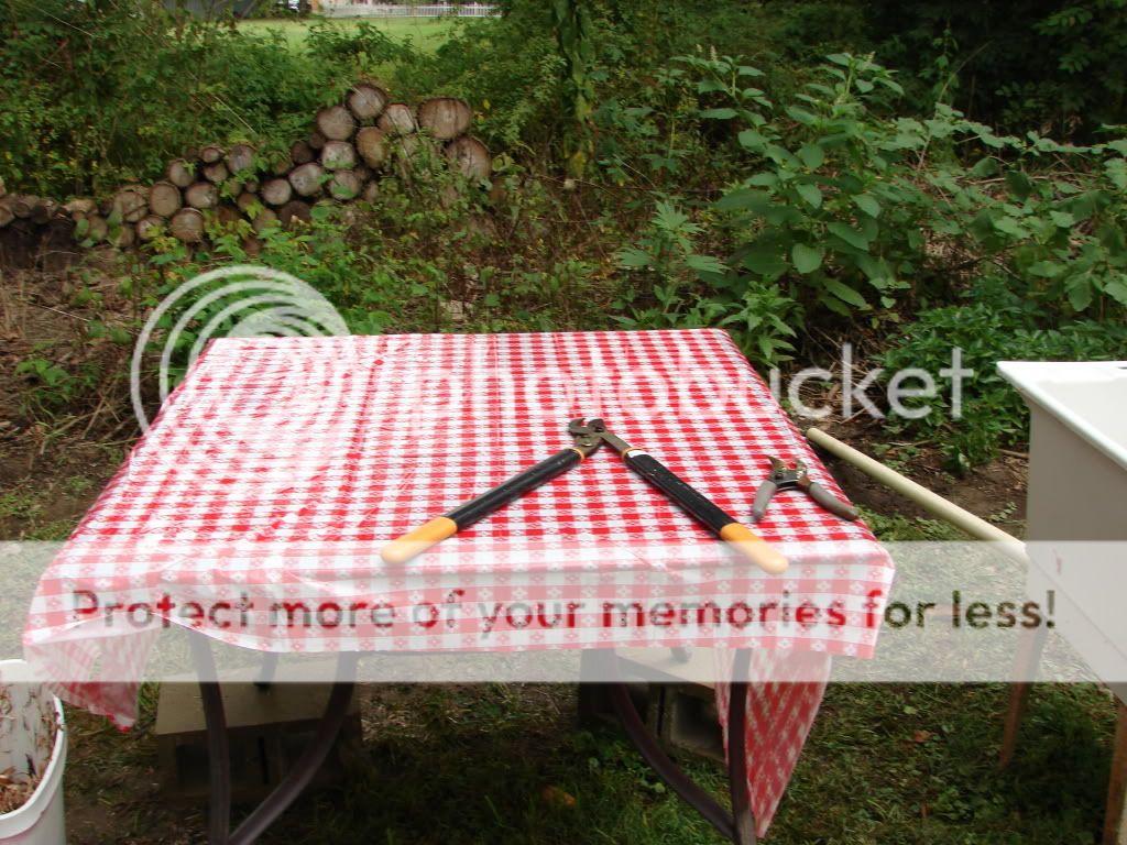 DSC06024.jpg