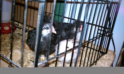 IMAG0532.jpg