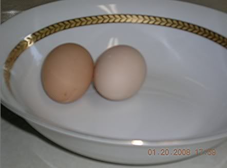 First-2_eggs1_20_08.jpg
