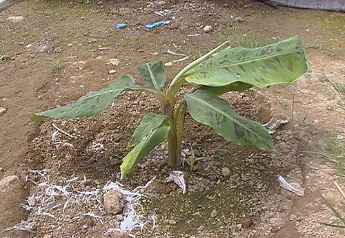 5864092637_c7642b8de2.jpg