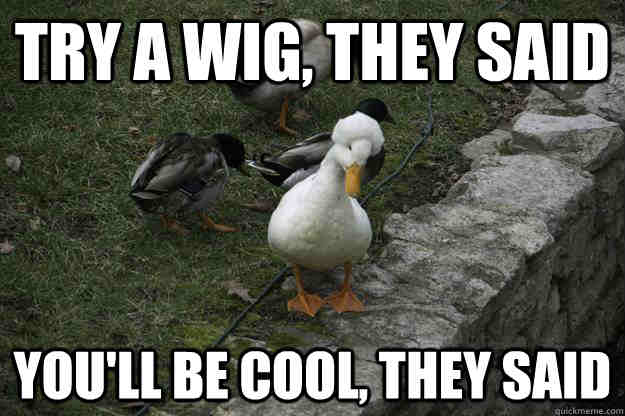 try-a-wig-they-said-duck-meme.jpg