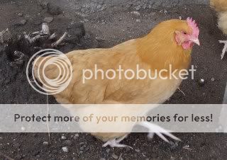 DSCF2473.jpg