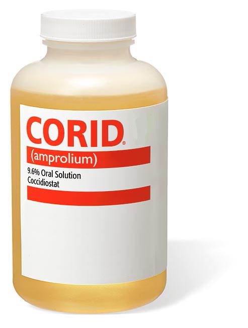 Corid%2016oz%20Bottle%20Hero%20LR.jpg