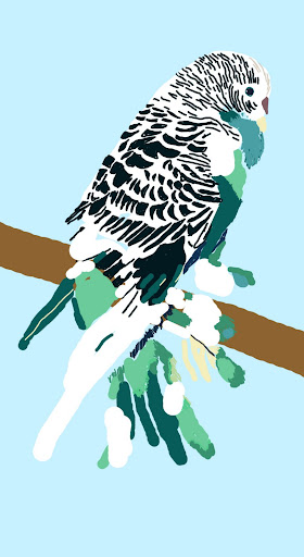 budgie.jpg