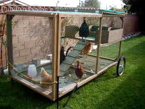 chickentractor2.jpg