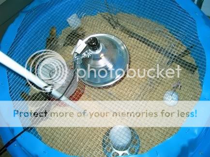 PICT0700_sm.jpg