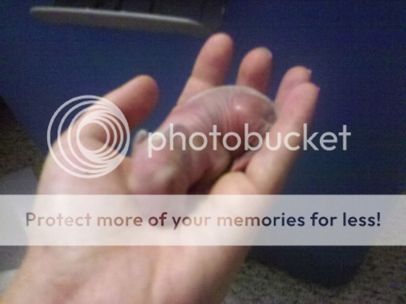 2011-07-07_08-11-24_787.jpg