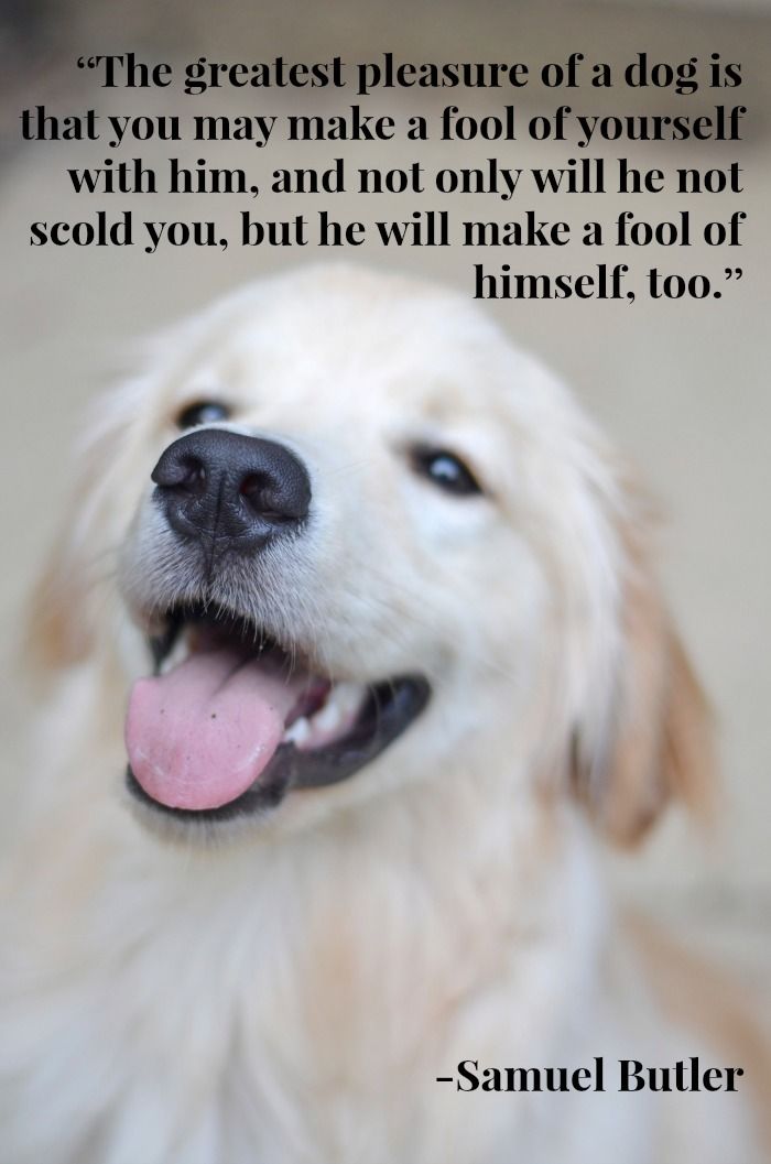 9f66682a74f2c439135da044336c9909.jpg