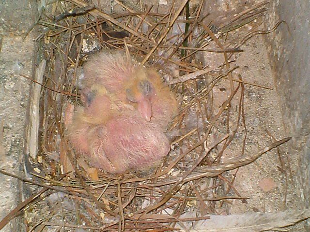 DSCF2985.jpg