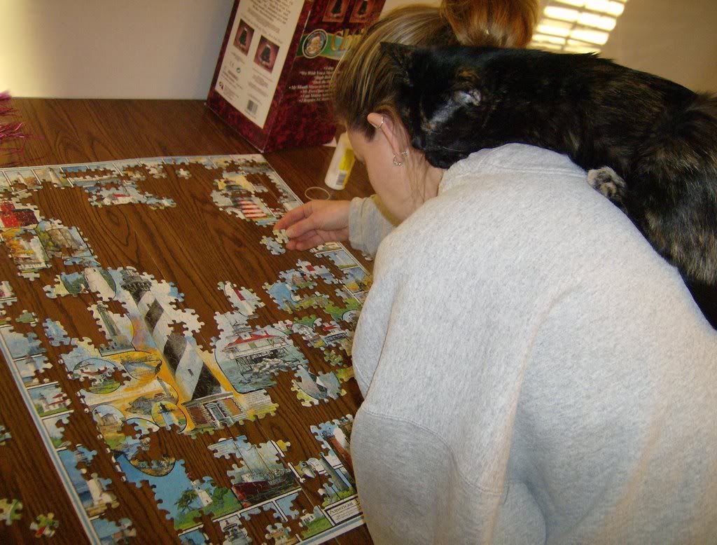 cats019.jpg