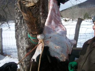 5_misc_scenery_sheep_calf_butchering_053.jpg