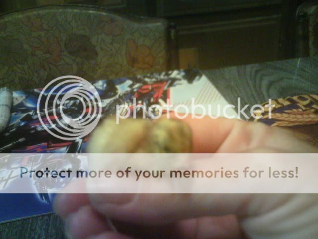 Picture025.jpg
