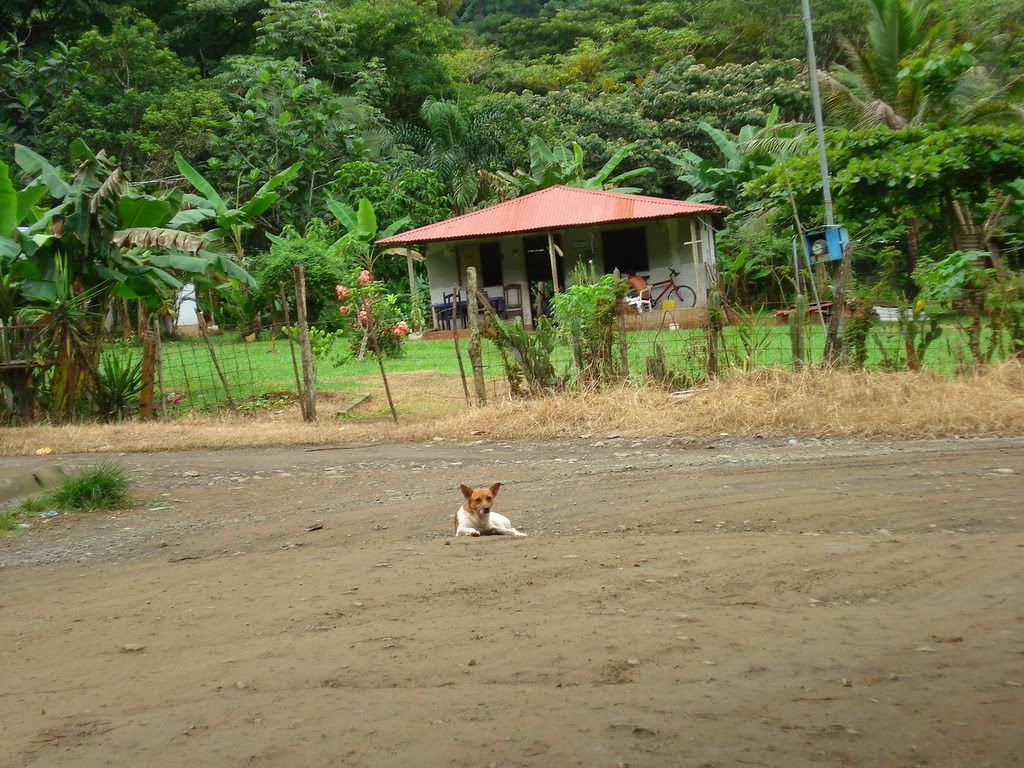 DSC01309.jpg