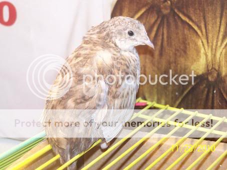 100_6184.jpg