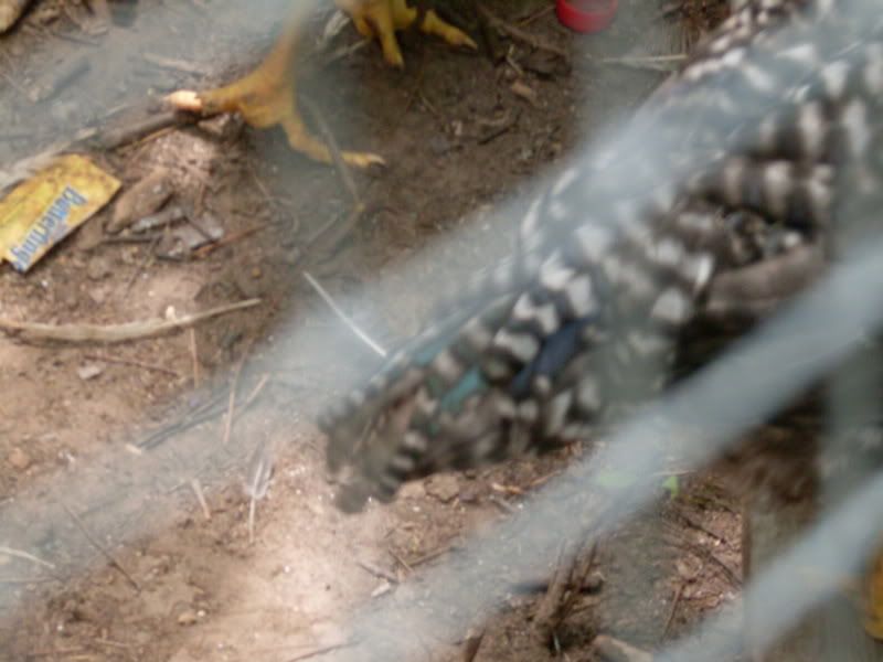 SDC10491.jpg