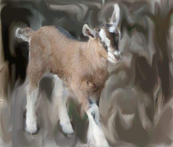 30x30px-ZC-7bab2696_1156_boy_2.jpeg