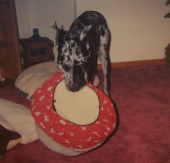 Baxter040300-2.jpg