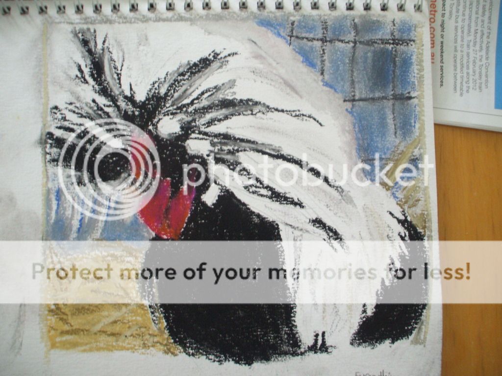 DSCF2865.jpg