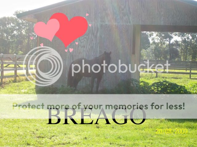 Breago002.jpg