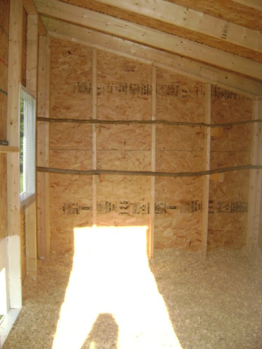 3704426804_edac6548fc.jpg