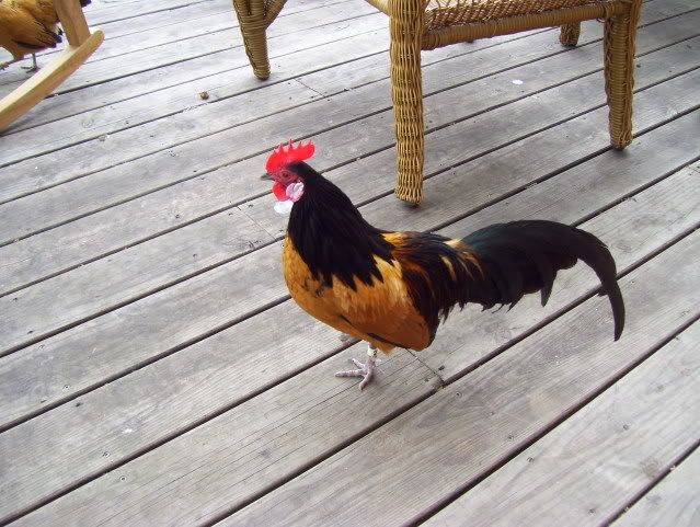 waterpics016.jpg