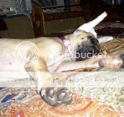 DSCN1472.jpg