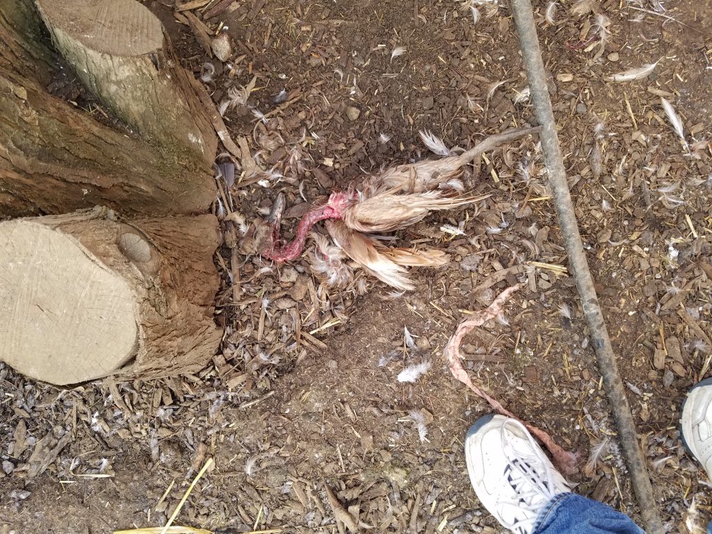 20191031_101342-1024x768.jpg