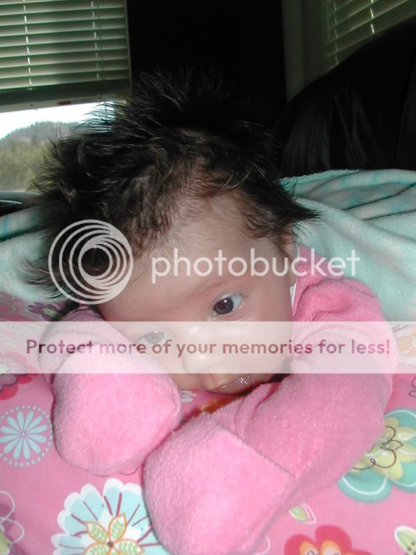 DSCN5575.jpg