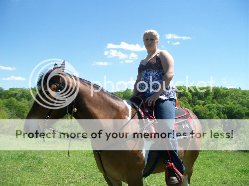 coopnhorses078.jpg