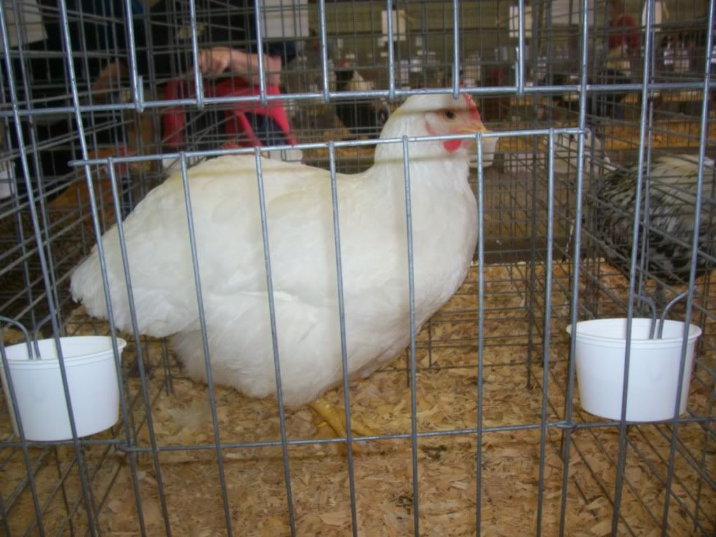 000_8327.jpg