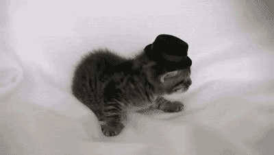 tumblr_m3kftdInp11r63pb5o1_400.gif