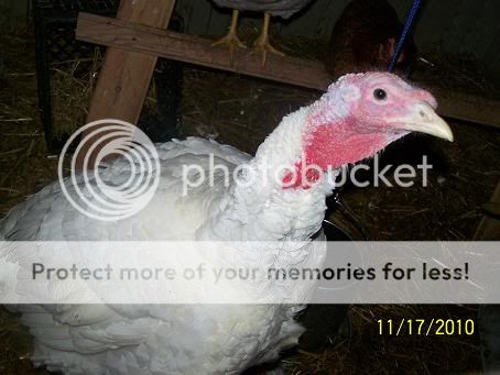 100_6153.jpg