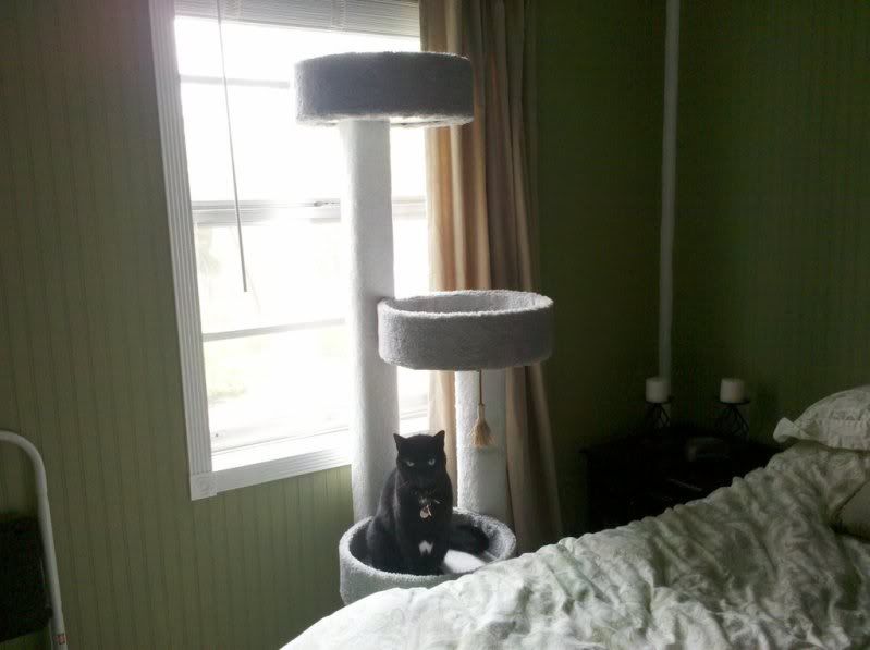 138047890_photobucket_7380_.jpg