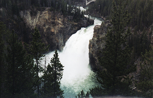 tumblr_m05qyz8eRr1rqsffvo1_500.jpg