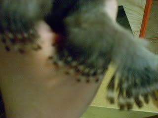 DSCN2129.jpg