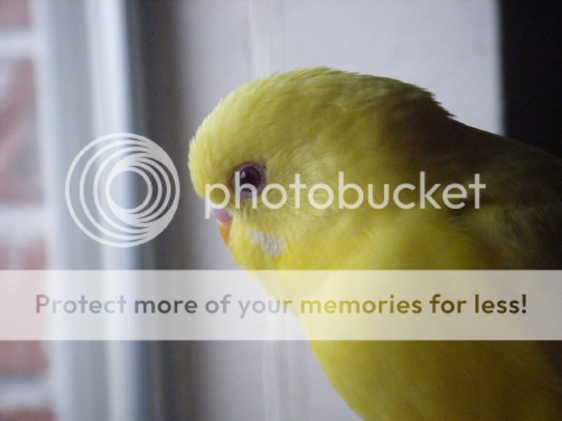 DSCF0859.jpg