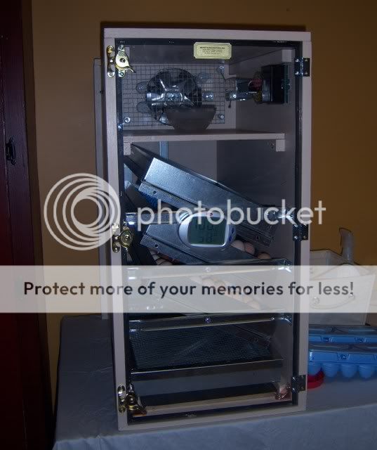 incubator007.jpg