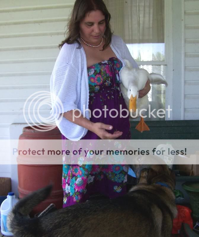 duckmom3.jpg