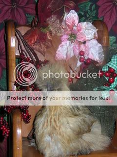 christmaschicks092.jpg