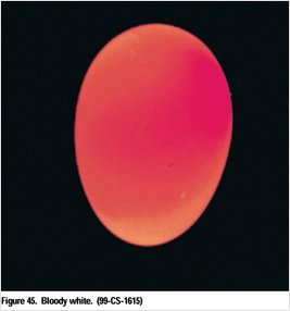 usda-egg-grading-bloody-white-s.jpg