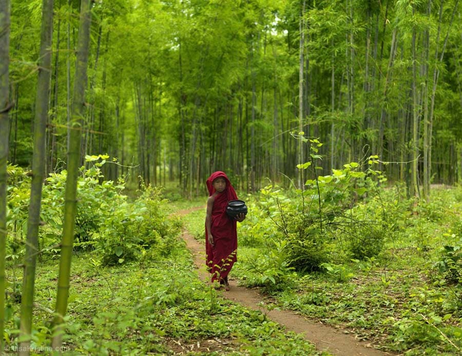 lisa_kristine_com-emerald-forest-myanmar.jpg