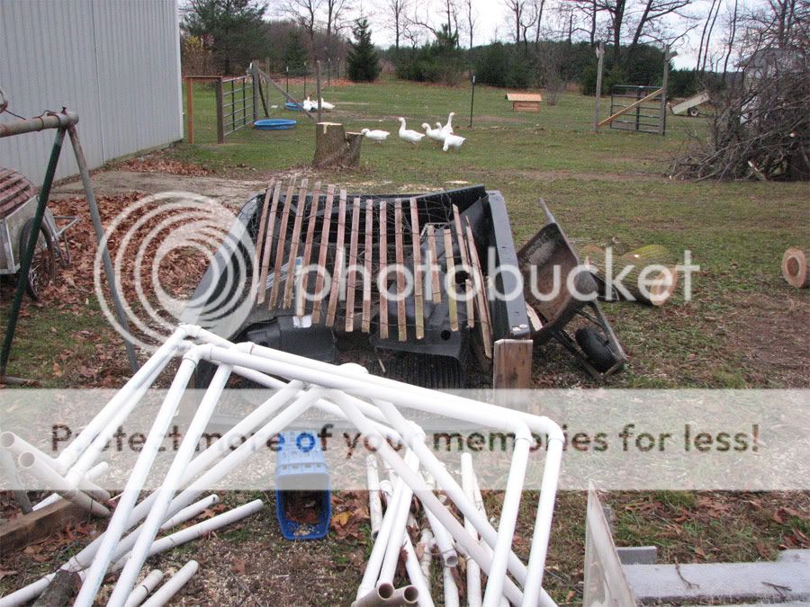 005web.jpg