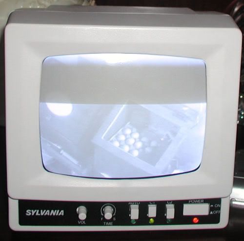 eggcam.jpg
