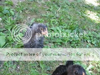 IMG_2192.jpg