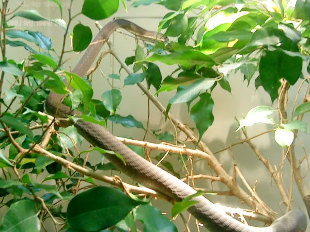 DSC08423.jpg