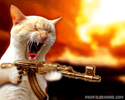 th_machine-gun-cat.gif